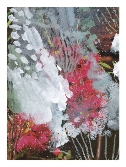 Kunstdruck 'Wildflowers 1' – Zweite Edition (limitierte Auflage)