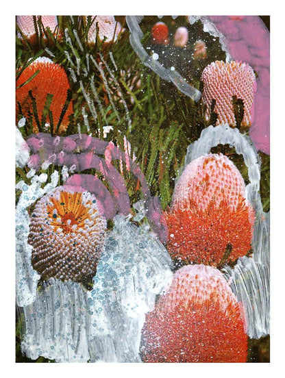 Limitierter Kunstdruck „Wildflowers 2“ – Zweite Edition