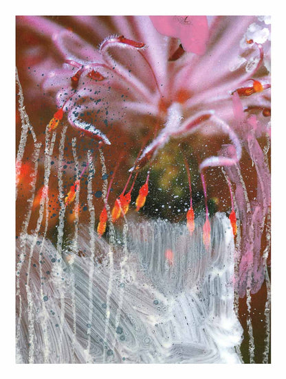 „Wildblumen 3“ Limitierter Kunstdruck – Zweite Edition