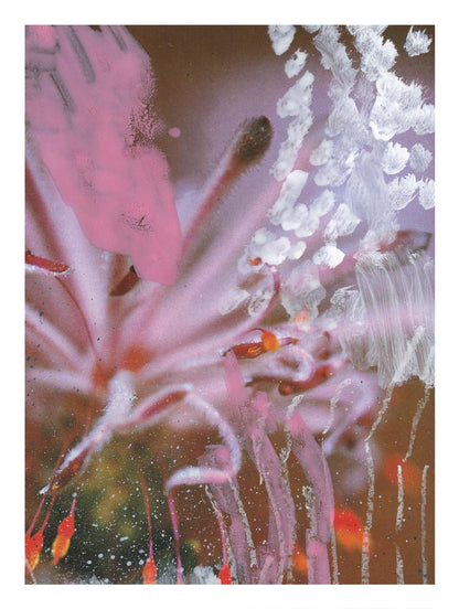 „Wildblumen 4“ Kunstdruck in limitierter Auflage – Zweite Edition