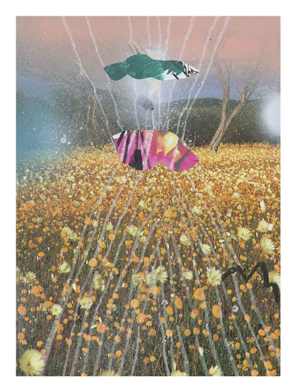 Kunstdruck "Wildblumen 5" in limitierter Auflage – zweite Edition