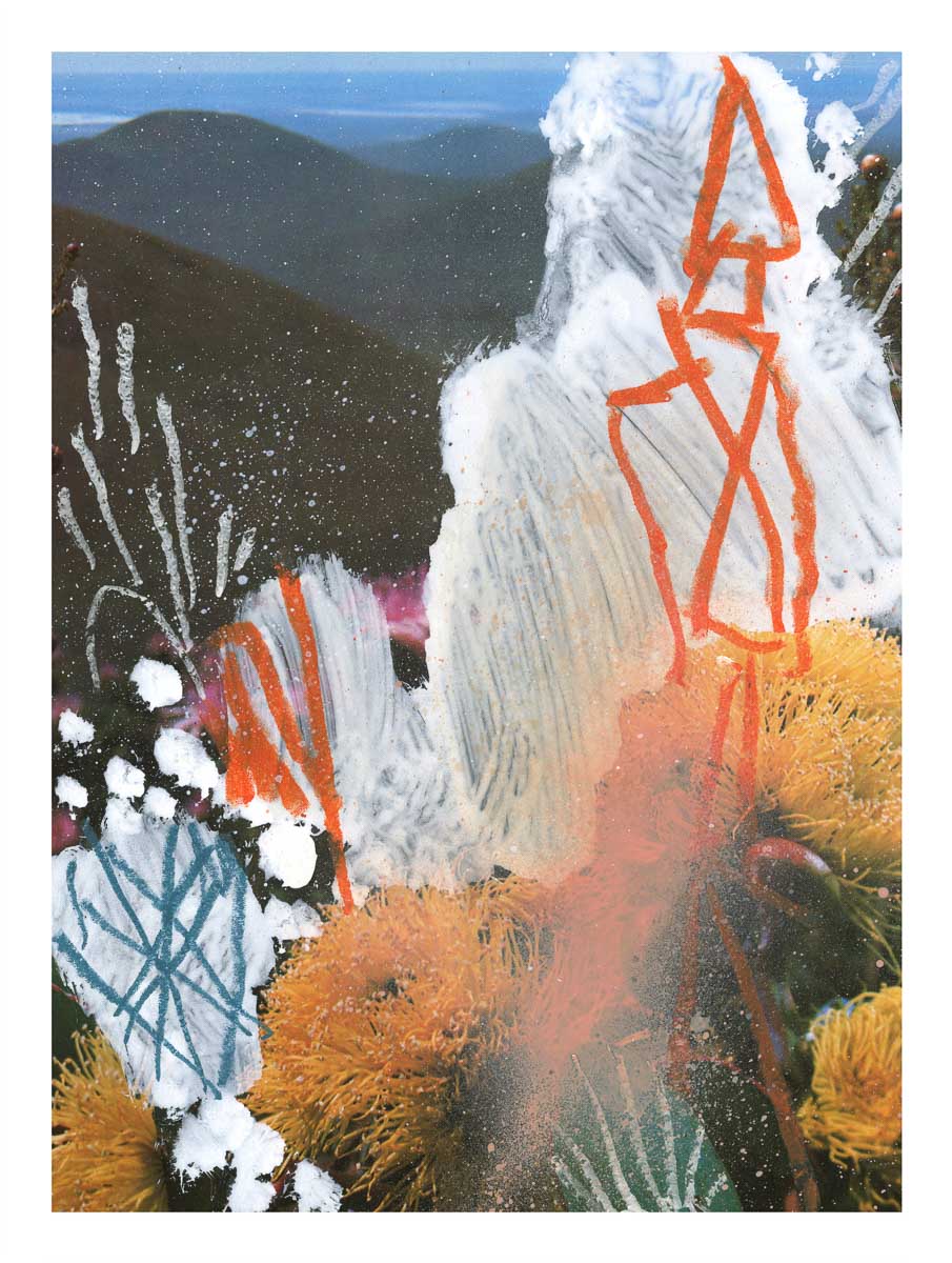 Kunstdruck 'Wildblumen 6' – Zweite Edition, Limitierte Auflage