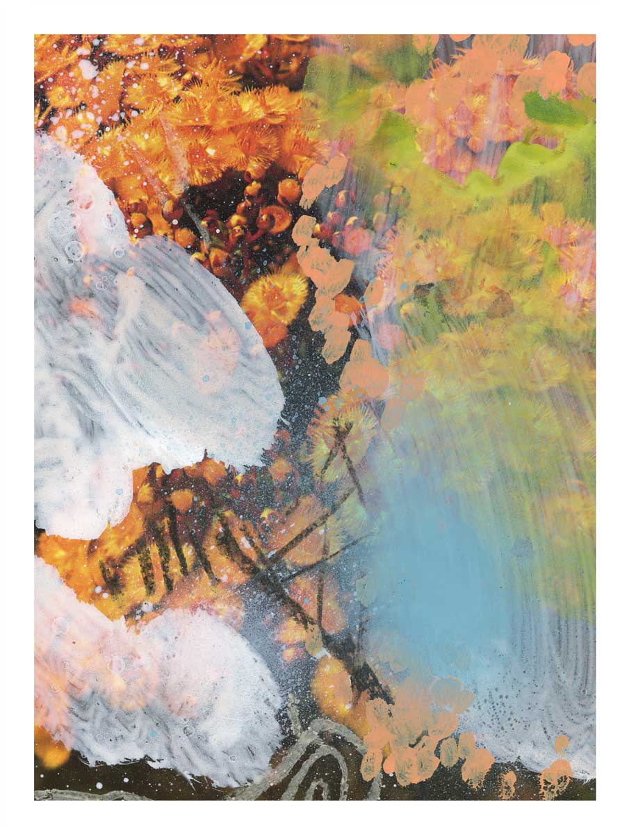 Kunstdruck 'Wildflowers 10' in limitierter Auflage – Zweite Edition