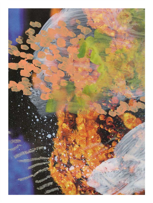 Kunstdruck 'Wildflowers 11' in limitierter Auflage – Zweite Edition