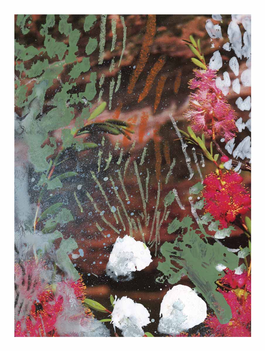 Kunstdruck „Wildflowers 12“ in limitierter Auflage – Zweite Edition